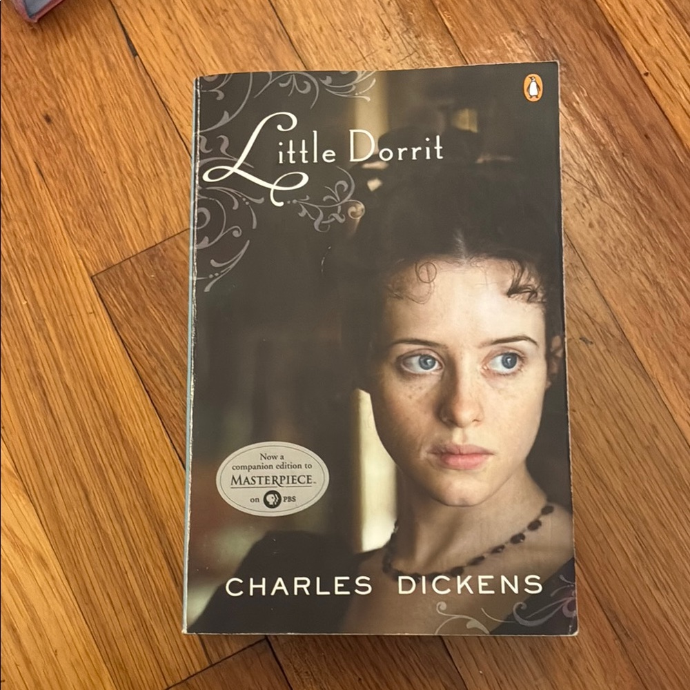 Little Dorrit by Charles Dickens Paperback